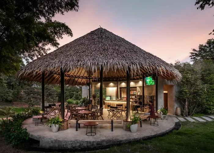 Phapok Eco 4*